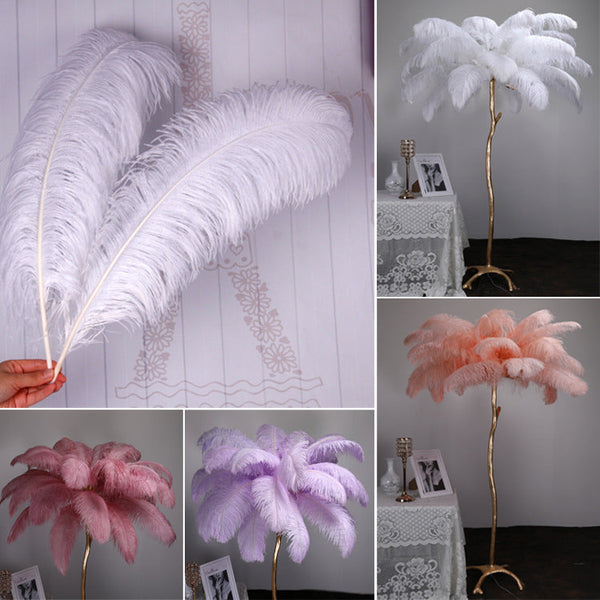 Wedding props party decoration  White colored ostrich hair 15-80cm. stage large feather decoration. flower arrangement. wedding ostrich feathers